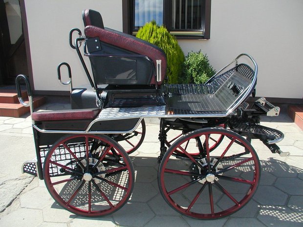 Marathon wagen Type:  Pegaz 75